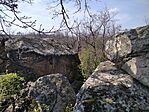 IMG_20240315_130742_1