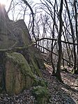 IMG_20240315_124759