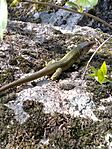 IMG_20240315_130443
