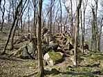 IMG_20240315_104545