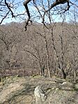 IMG_20240315_115907