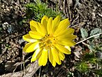 IMG_20240315_115928_1