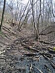 IMG_20240315_114936