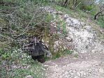 IMG_20240331_104611_1