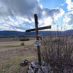 IMG_20240303_151205