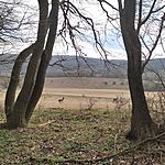 IMG_20240303_151507