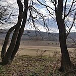 IMG_20240303_151509