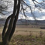 IMG_20240303_151512