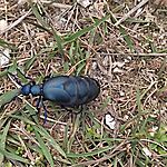 IMG_20240303_151747