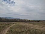IMG_20240323_122148