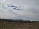 IMG_20240323_121914