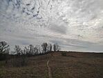 IMG_20240323_121903