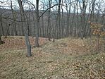 IMG_20240315_110320141
