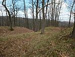IMG_20240315_110344144
