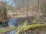 IMG_20240315_112326505