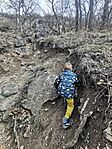 IMG_20240225_130447