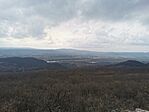 IMG_20240225_131408