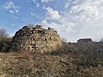 IMG_20240225_114249