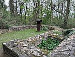 IMG_0462