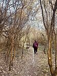 IMG_7632