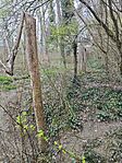 IMG_20240307_142800