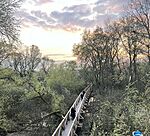 IMG_4385