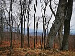IMG_20240316_133056