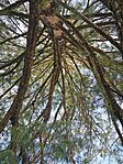 IMG_20240329_154002
