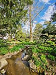 IMG_20240329_154525