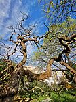 IMG_20240329_154630