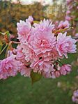 IMG_20240329_154846