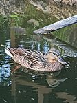 IMG_20240329_155315