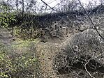 IMG_3675