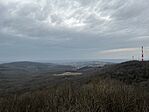 IMG_8111