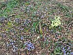 IMG_20240315_171818