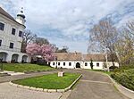 IMG_20240323_111956