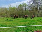 IMG_20240323_111830