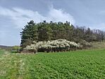 IMG_20240330_115943