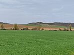 IMG_20240330_115951