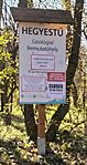 IMG_20240317_084250