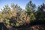-4