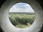 IMG_9753