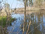 IMG_20240315_143805