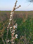 IMG_20240315_170619