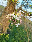 IMG_20240315_170609