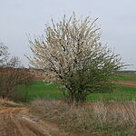 20240322143108_IMG_1572