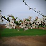 20240322143135_IMG_1573