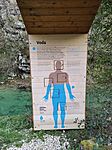 IMG_20240329_172639