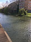 IMG_9010