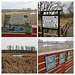 20240301_170923-COLLAGE